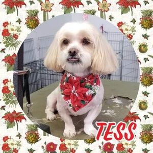 Meet your Posher, James